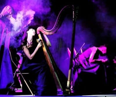 Dans l'œil des Enfoirés - 2011