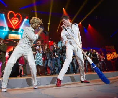 Bon anniversaire les Enfoirés - 2014