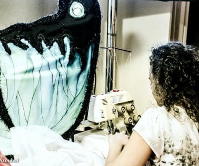 Bon anniversaire les Enfoirés - 2014