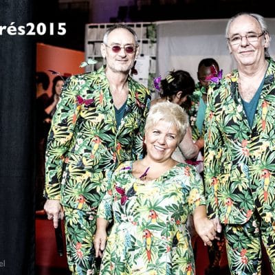 Sur la Route des Enfoirés - 2015