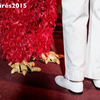 Sur la Route des Enfoirés - 2015