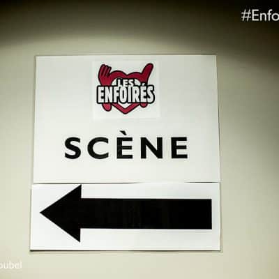 Au Rendez-vous des Enfoirés - 2016