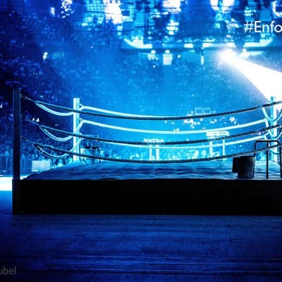 Au Rendez-vous des Enfoirés - 2016