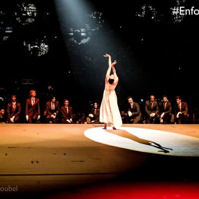 Au Rendez-vous des Enfoirés - 2016