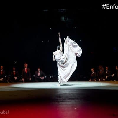 Au Rendez-vous des Enfoirés - 2016