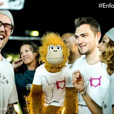 Au Rendez-vous des Enfoirés - 2016